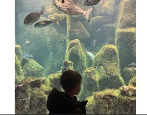 Niño en acuario
